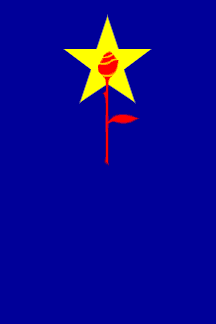 Flag of SKM